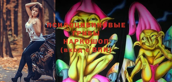 ПСИЛОЦИБИНОВЫЕ ГРИБЫ Абаза