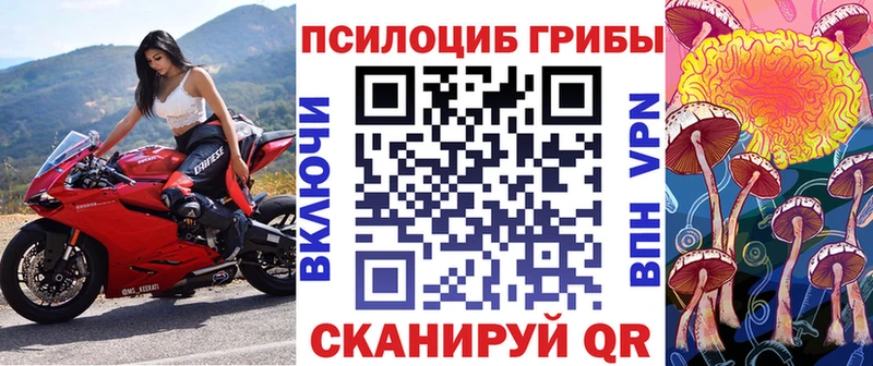 Псилоцибиновые грибы мухоморы  ОМГ ОМГ как зайти  Нижние Серги  купить наркотики сайты 